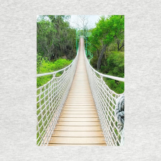 The Canopy Trail at Santa Ana Wildlife Refuge by Debra Martz